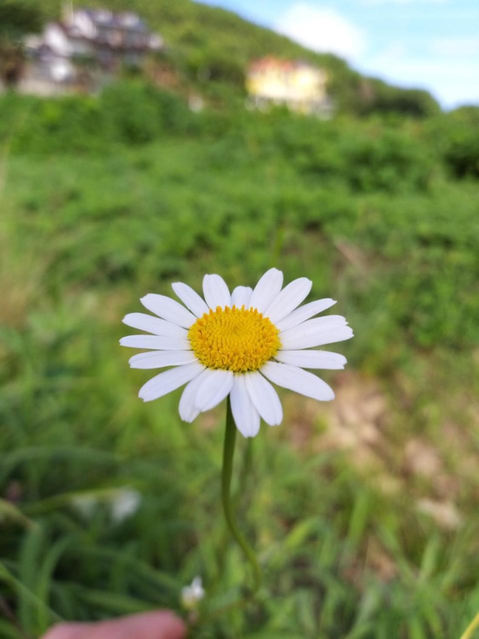 Oneday In Geoje Villa Kültér fotó